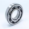 35 mm x 80 mm x 21 mm  ISO NF307 Cylindrical roller bearings