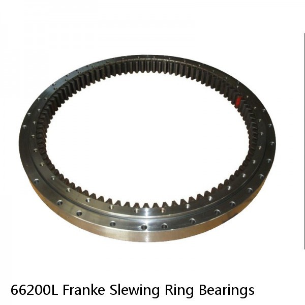 66200L Franke Slewing Ring Bearings #1 small image