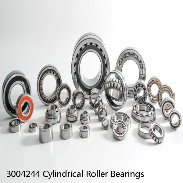 3004244 Cylindrical Roller Bearings