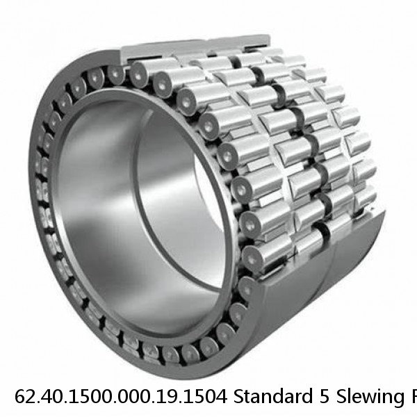 62.40.1500.000.19.1504 Standard 5 Slewing Ring Bearings