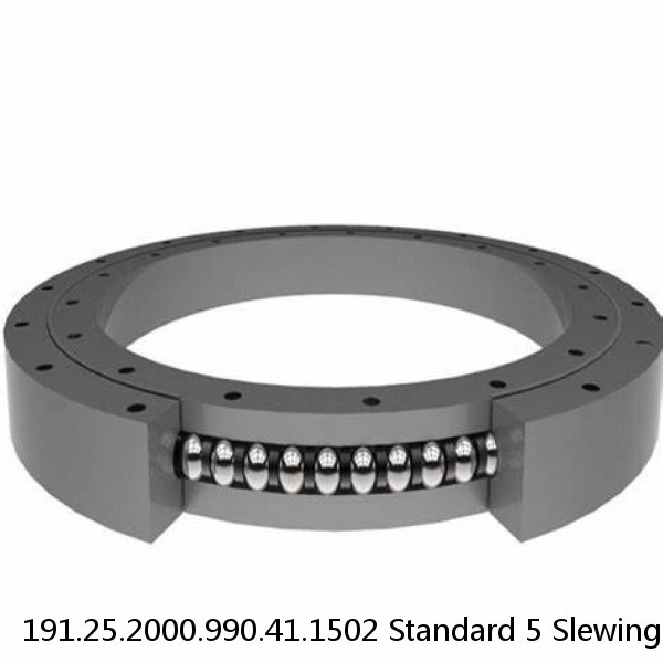 191.25.2000.990.41.1502 Standard 5 Slewing Ring Bearings #1 small image
