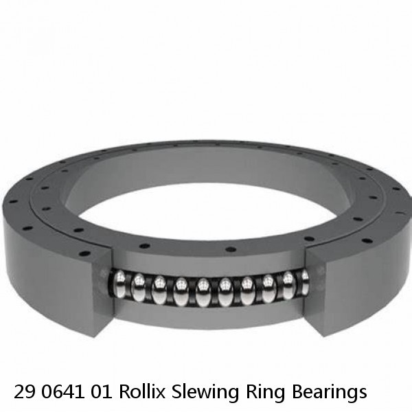 29 0641 01 Rollix Slewing Ring Bearings #1 small image