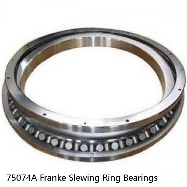 75074A Franke Slewing Ring Bearings #1 small image