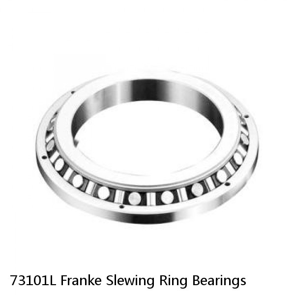 73101L Franke Slewing Ring Bearings #1 small image