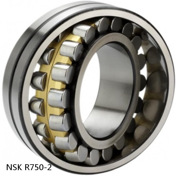 R750-2 NSK CYLINDRICAL ROLLER BEARING #1 small image