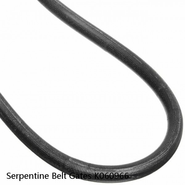 Serpentine Belt Gates K060966 #1 small image