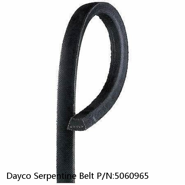 Dayco Serpentine Belt P/N:5060965