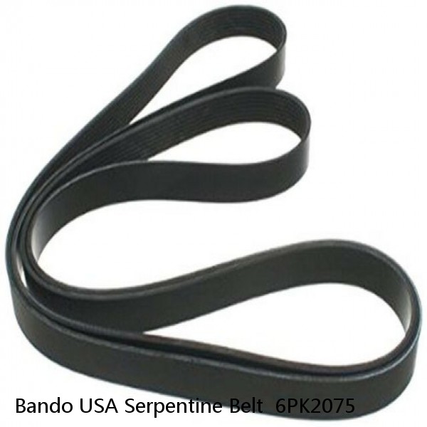 Bando USA Serpentine Belt  6PK2075 #1 small image