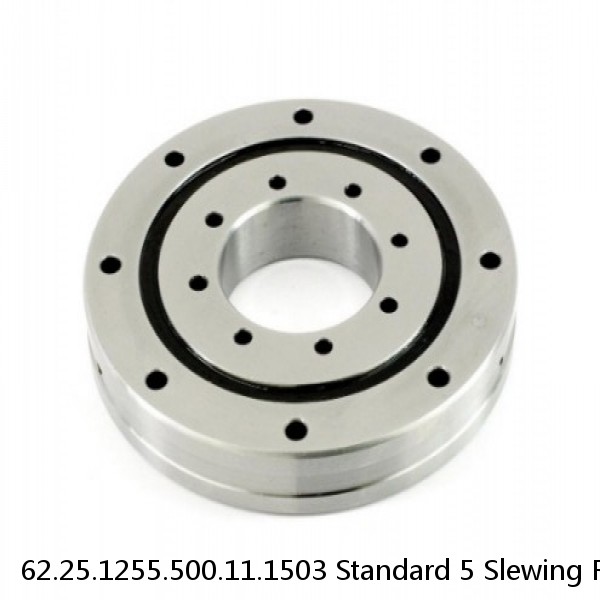 62.25.1255.500.11.1503 Standard 5 Slewing Ring Bearings #1 image