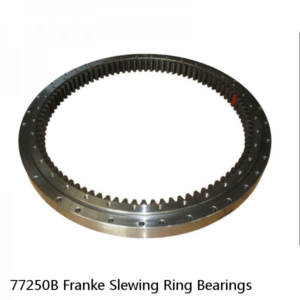 77250B Franke Slewing Ring Bearings #1 image