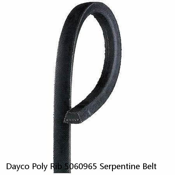 Dayco Poly Rib 5060965 Serpentine Belt #1 image