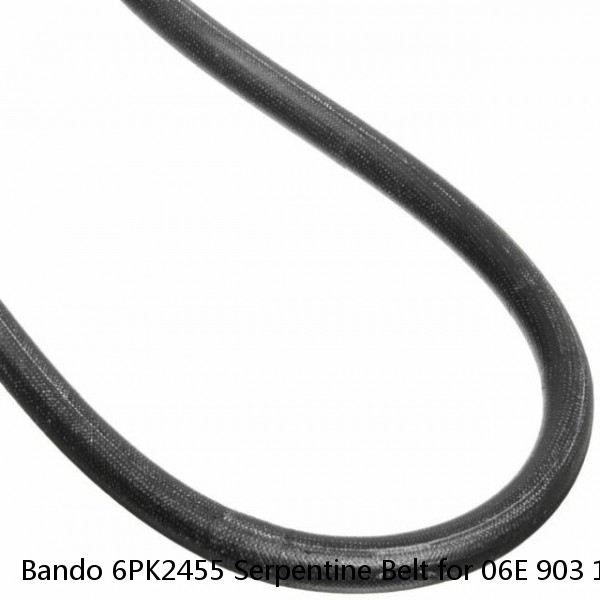Bando 6PK2455 Serpentine Belt for 06E 903 137 N 06E 903 137 Q 10225865 YL3Z ob #1 image
