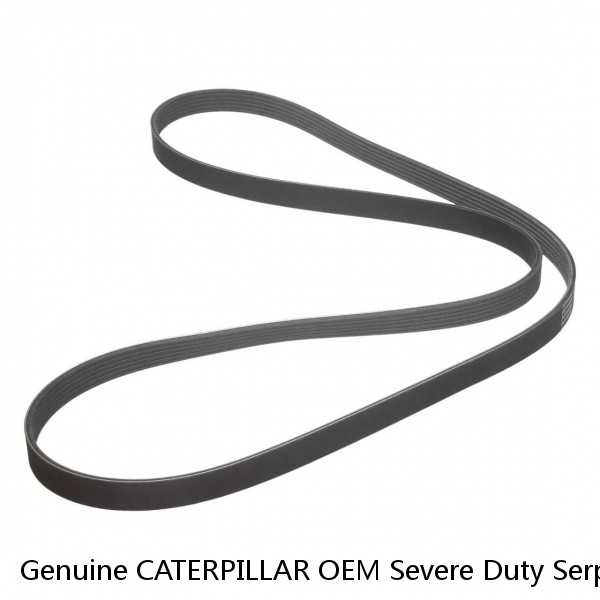 Genuine CATERPILLAR OEM Severe Duty Serpentine Poly Rib Belt 374-8476 #1 image