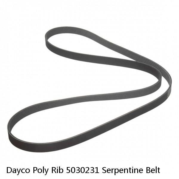 Dayco Poly Rib 5030231 Serpentine Belt #1 image