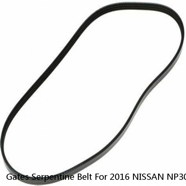 Gates Serpentine Belt For 2016 NISSAN NP300 FRONTIER L4-2.5L #1 image